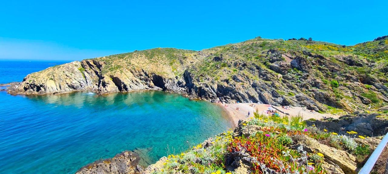Studio *** "Thalabanyuls" - Vue Mer - Balcon Εξωτερικό φωτογραφία