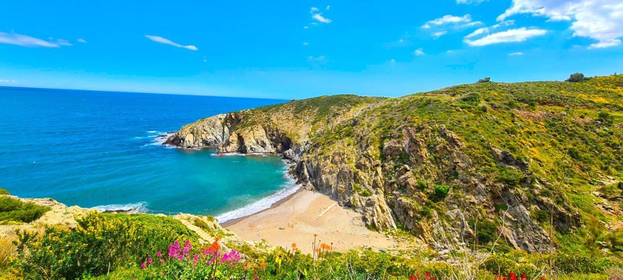 Studio *** "Thalabanyuls" - Vue Mer - Balcon Εξωτερικό φωτογραφία